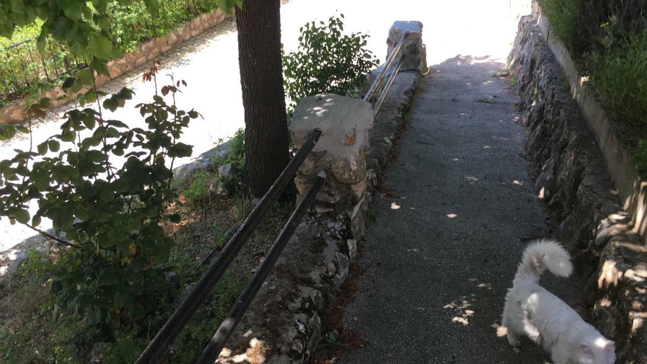 El Mirador Del Chorrillo Villa Olmeda de las Fuentes Eksteriør bilde